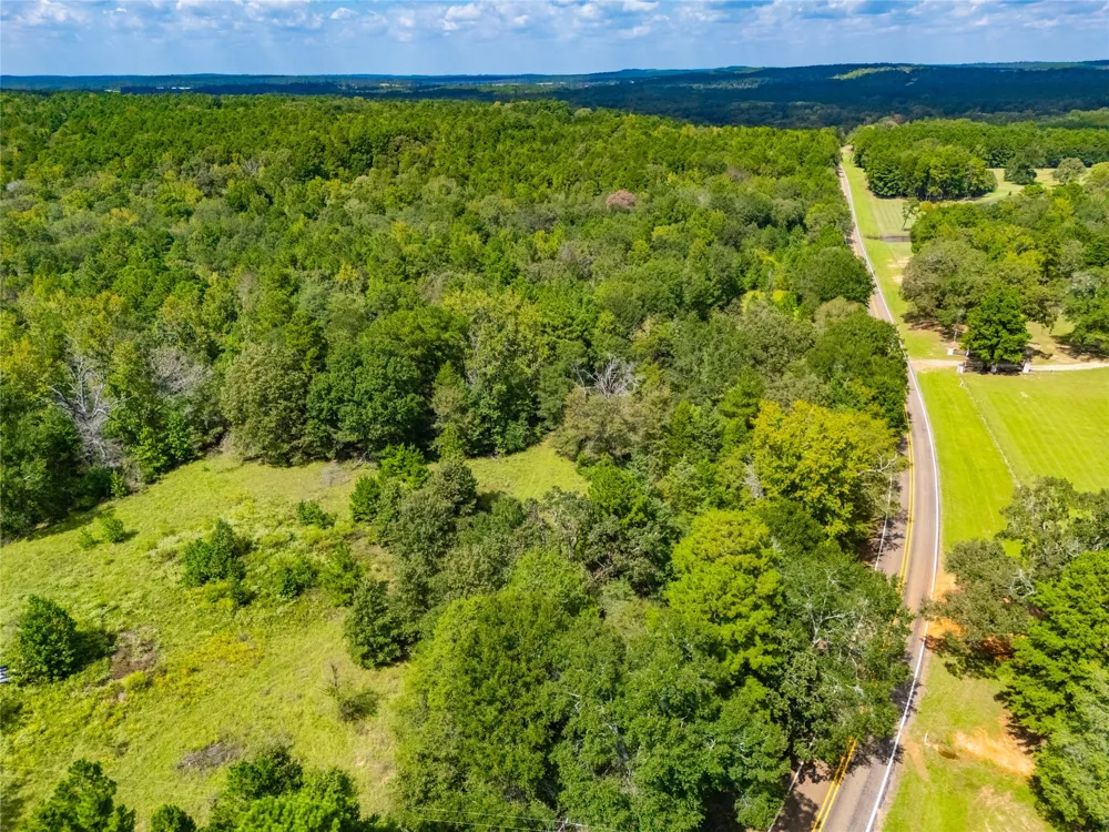 14799 FM 315 Palestine, TX 75803