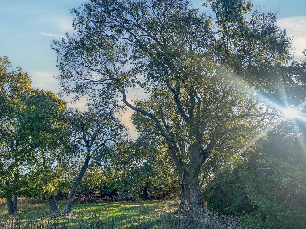 112 Hill Ranch Road Celeste, TX 75423