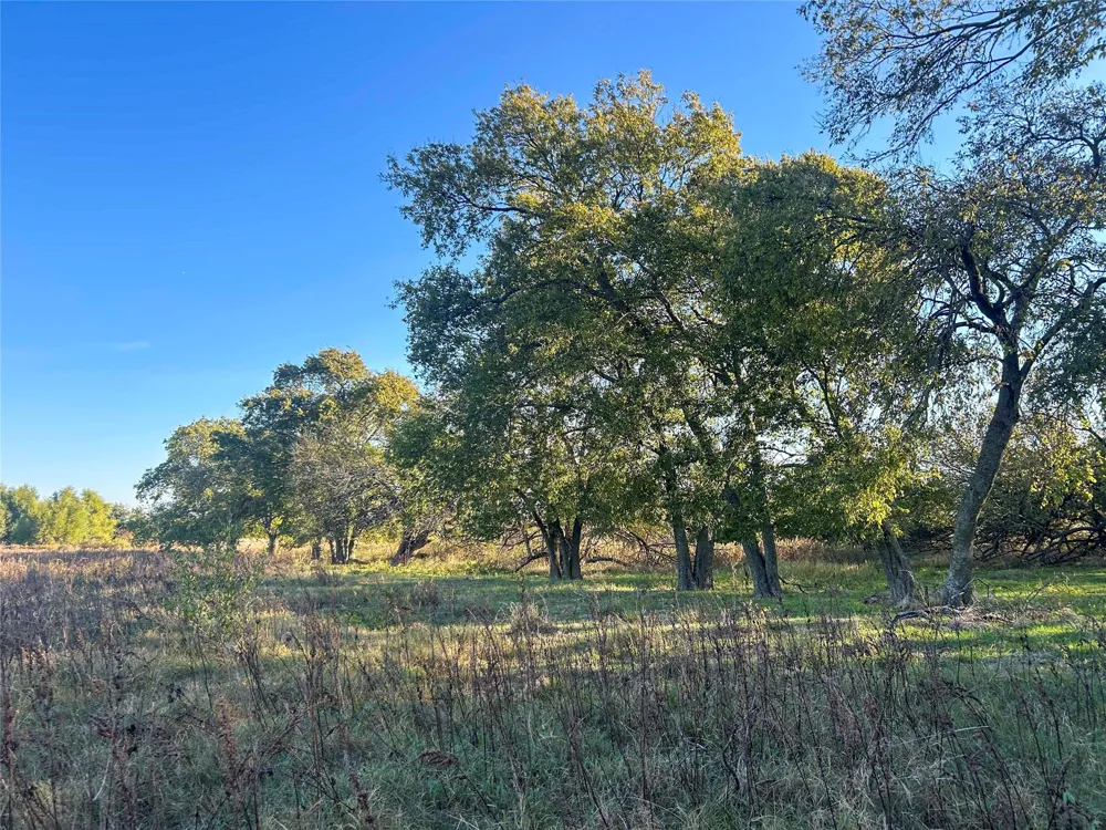 112 Hill Ranch Road Celeste, TX 75423
