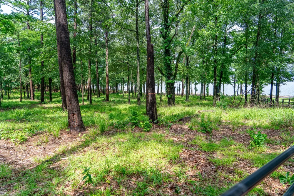 Ezelle Way Scroggins, TX 75480
