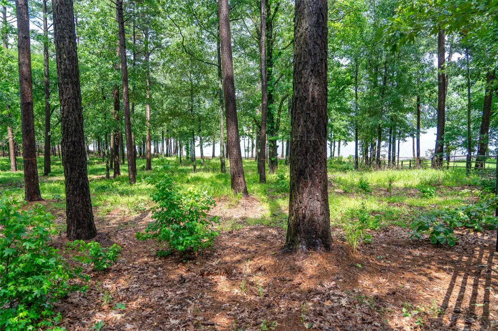 Ezelle Way Scroggins, TX 75480