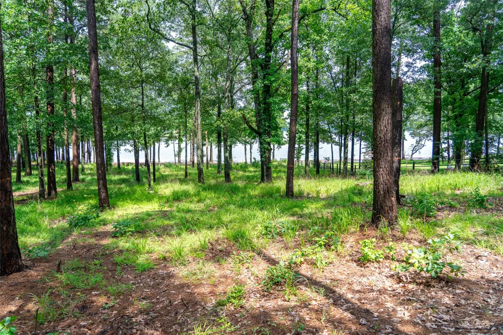 Ezelle Way Scroggins, TX 75480