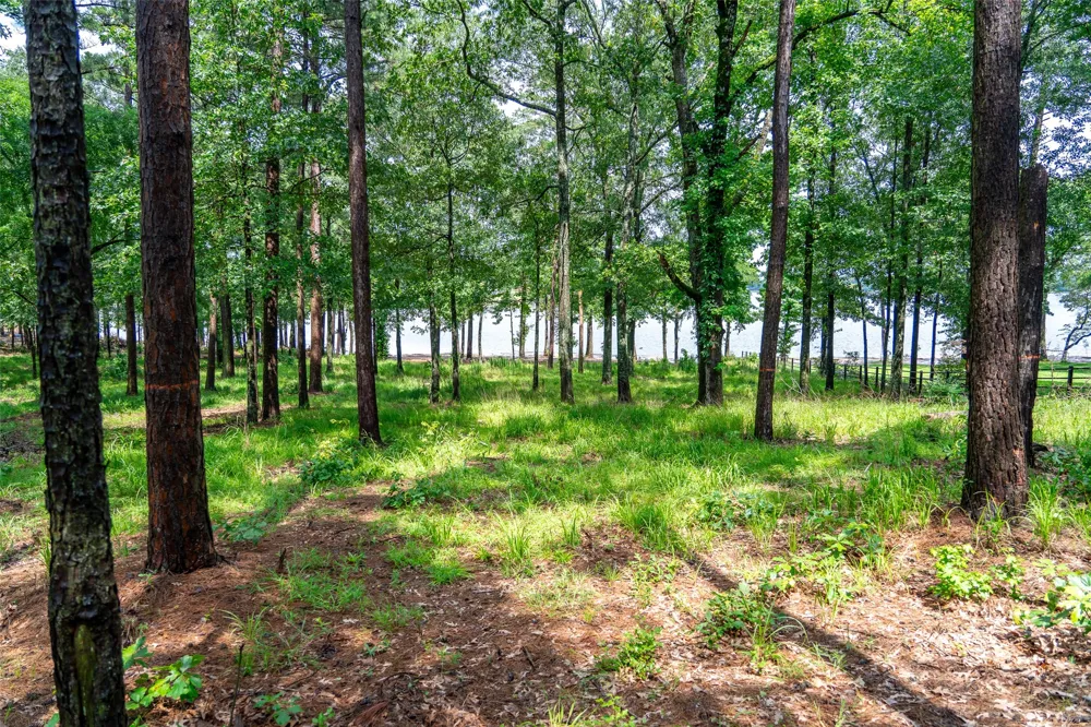 Ezelle Way Scroggins, TX 75480