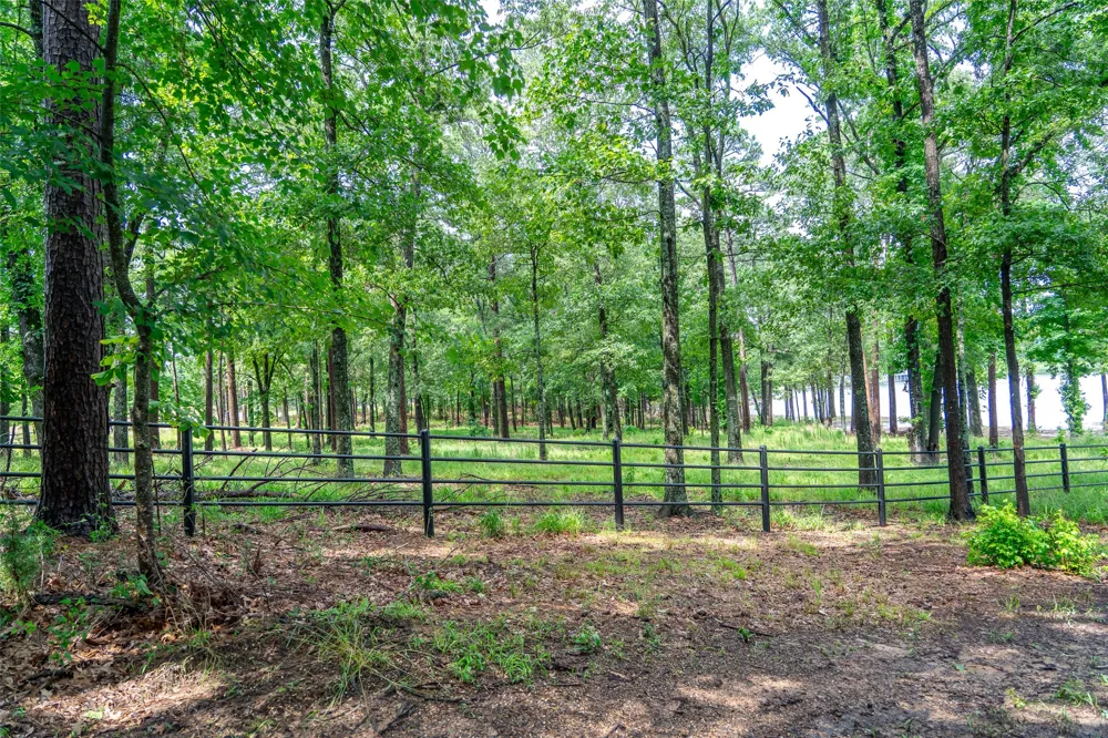 Ezelle Way Scroggins, TX 75480