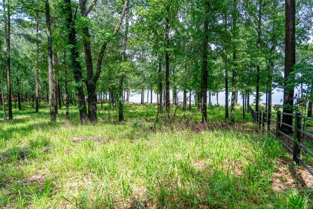 Ezelle Way Scroggins, TX 75480