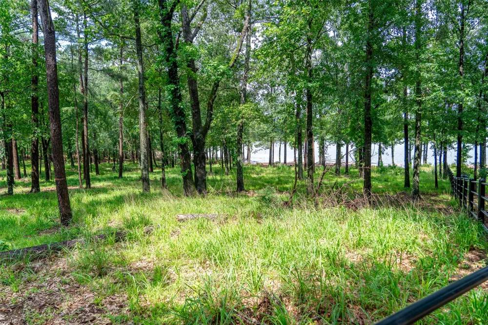 Ezelle Way Scroggins, TX 75480