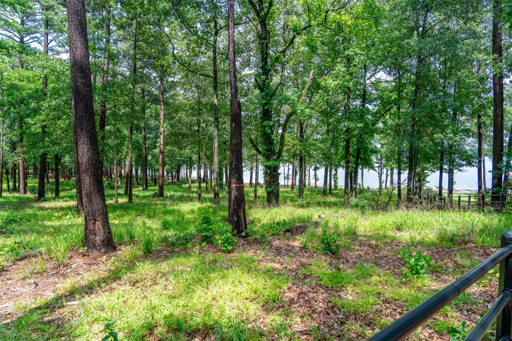Ezelle Way Scroggins, TX 75480