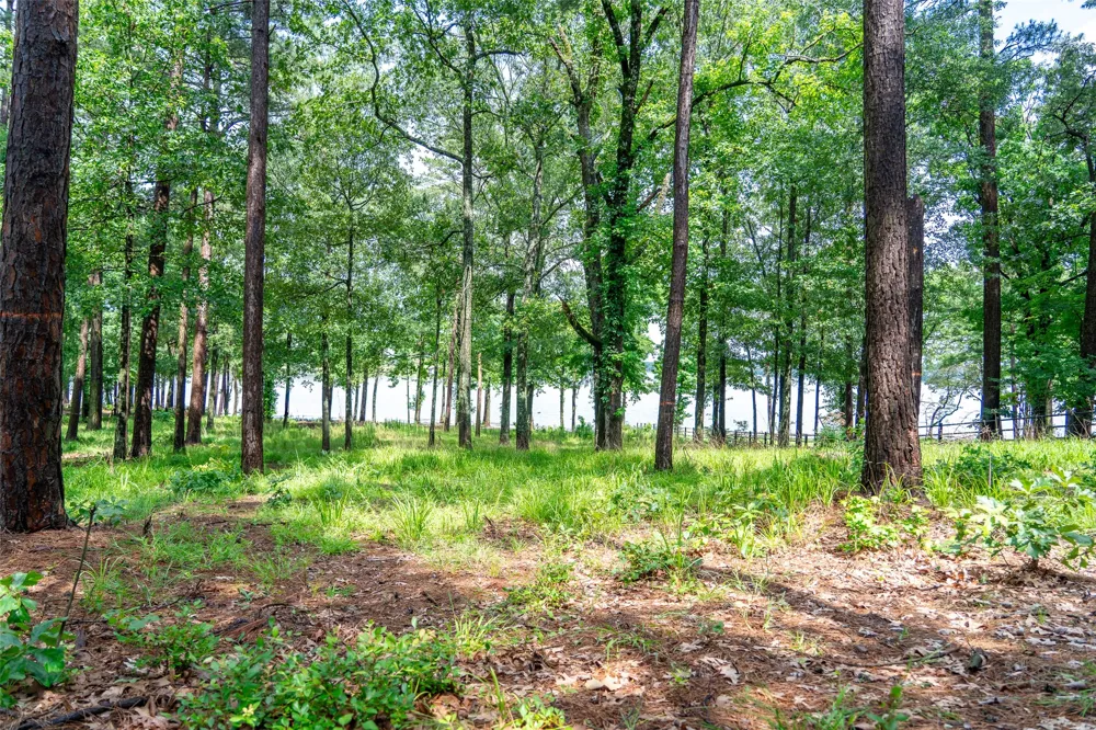 Ezelle Way Scroggins, TX 75480