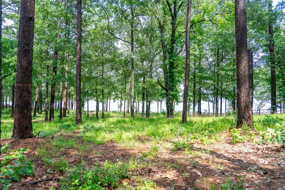 Ezelle Way Scroggins, TX 75480