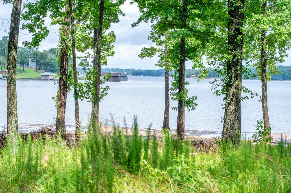 Ezelle Way Scroggins, TX 75480