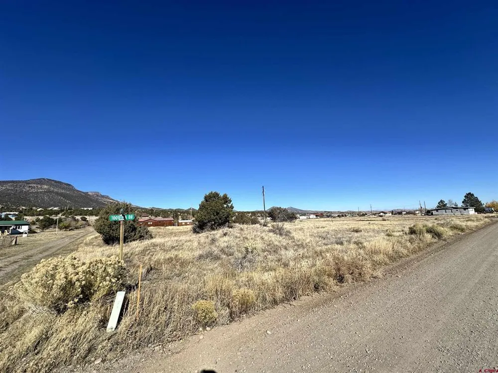 129 Rayburn Road South Fork, CO 81154