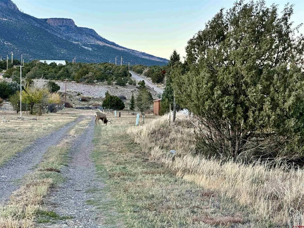 129 Rayburn Road South Fork, CO 81154