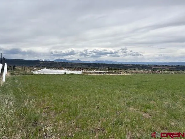 15736 2600 ROAD Cedaredge, CO 81413