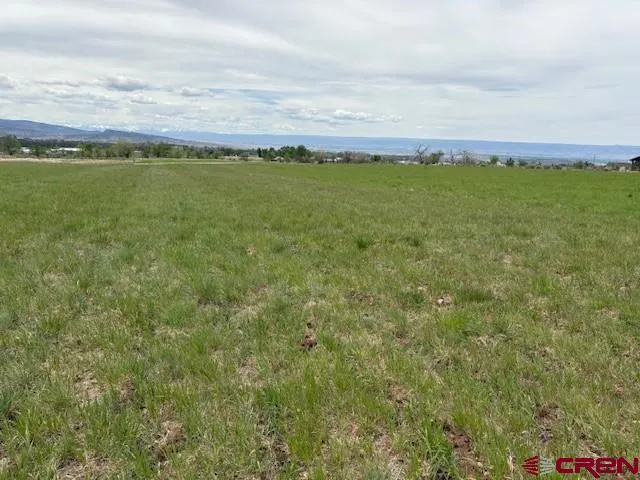 15736 2600 ROAD Cedaredge, CO 81413