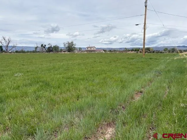 15736 2600 ROAD Cedaredge, CO 81413