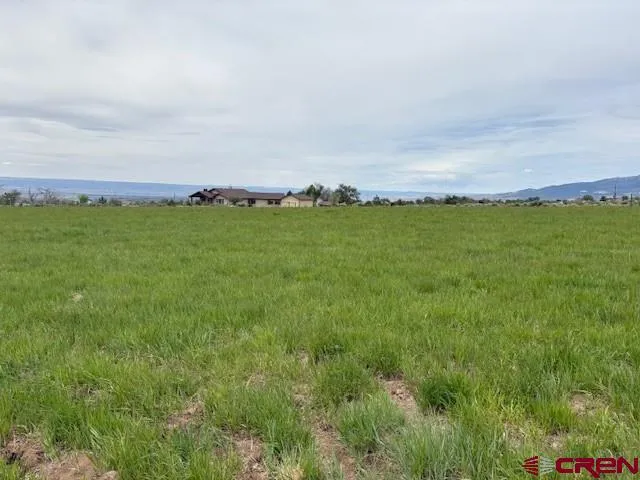 15736 2600 ROAD Cedaredge, CO 81413