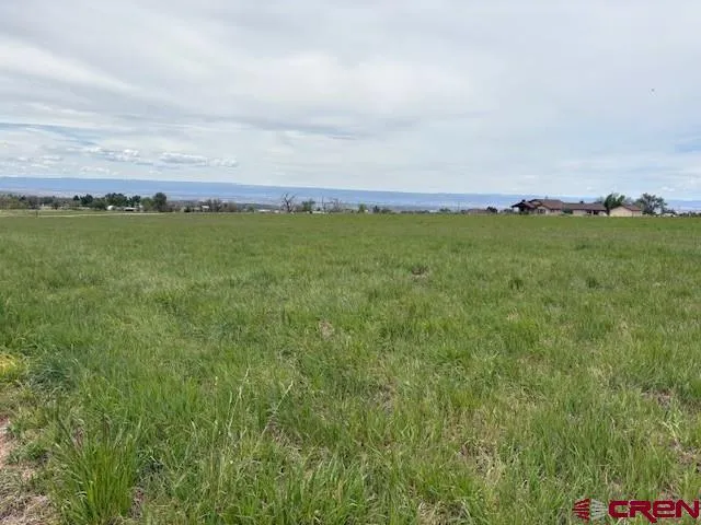 15736 2600 ROAD Cedaredge, CO 81413