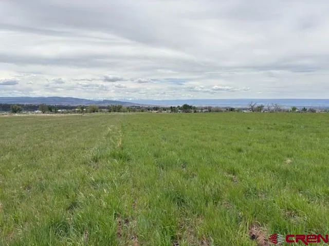 15736 2600 ROAD Cedaredge, CO 81413