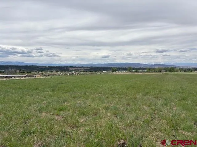 15736 2600 ROAD Cedaredge, CO 81413