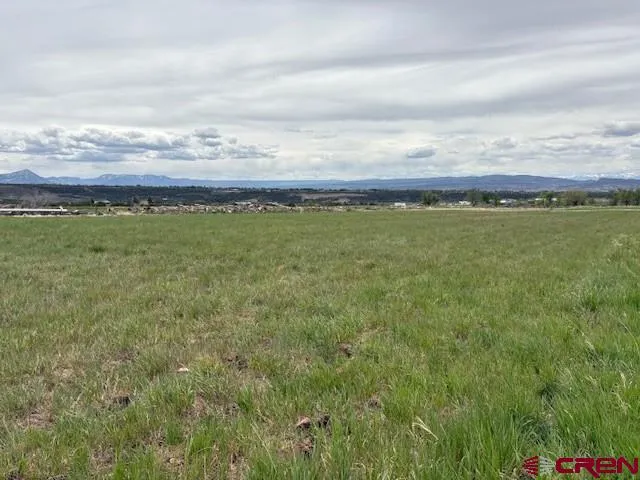 15736 2600 ROAD Cedaredge, CO 81413