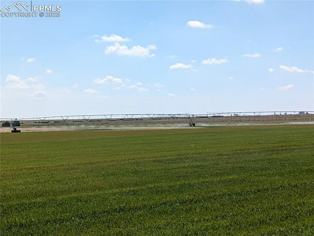 23500 County Road 5 Rush, CO 80833