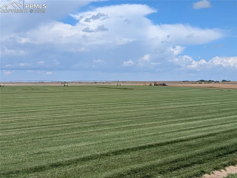 23500 County Road 5 Rush, CO 80833