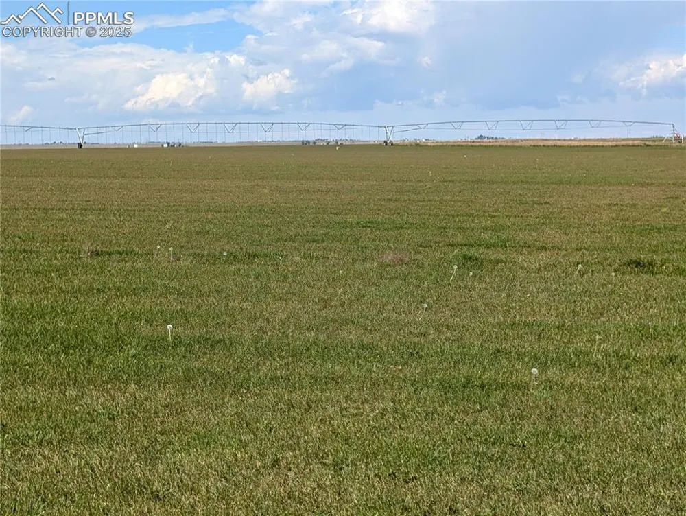 23500 County Road 5 Rush, CO 80833