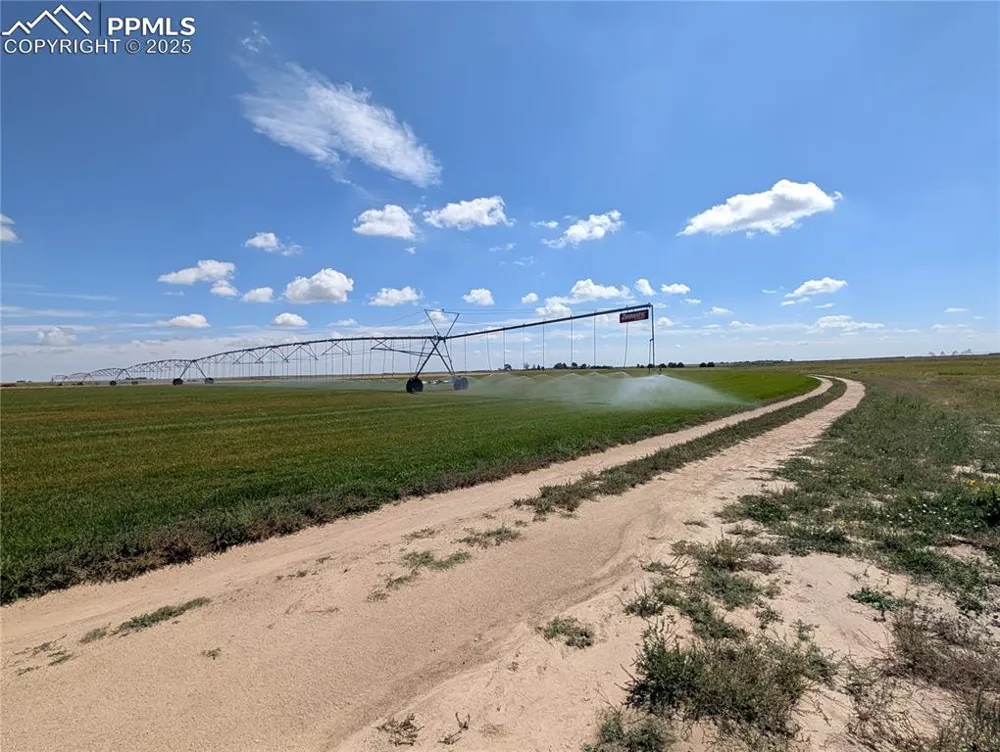 23500 County Road 5 Rush, CO 80833