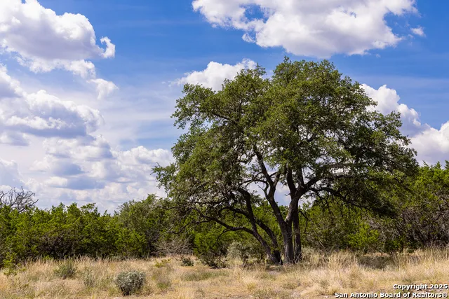 192 Dark Sky Path Kerrville, TX 78028