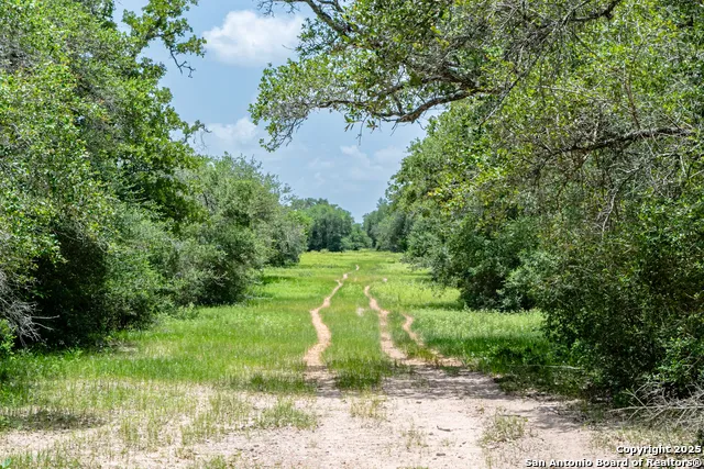 TBD FM 682 Yoakum, TX 77995