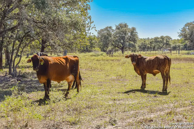 TBD FM 682 Yoakum, TX 77995