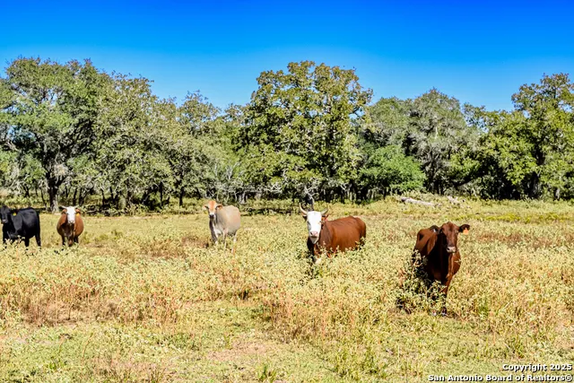 TBD FM 682 Yoakum, TX 77995