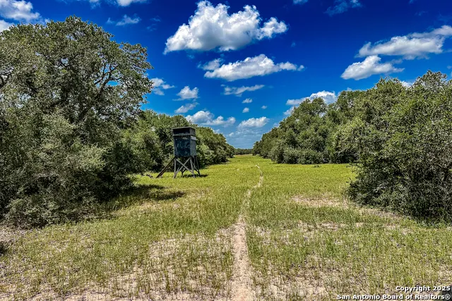 TBD FM 682 Yoakum, TX 77995