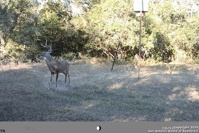 TBD FM 682 Yoakum, TX 77995