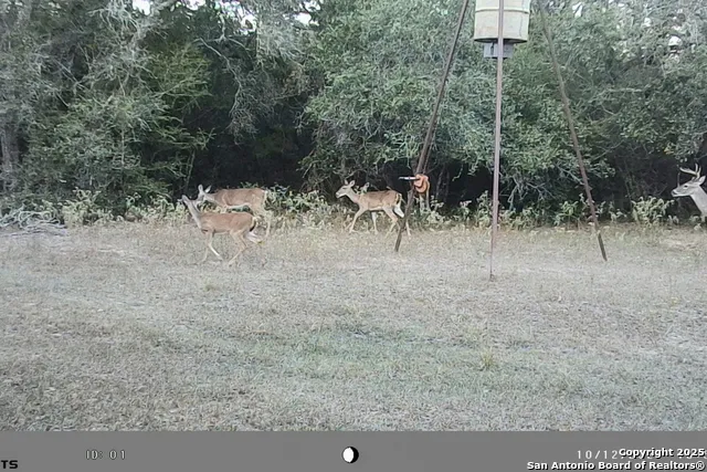 TBD FM 682 Yoakum, TX 77995