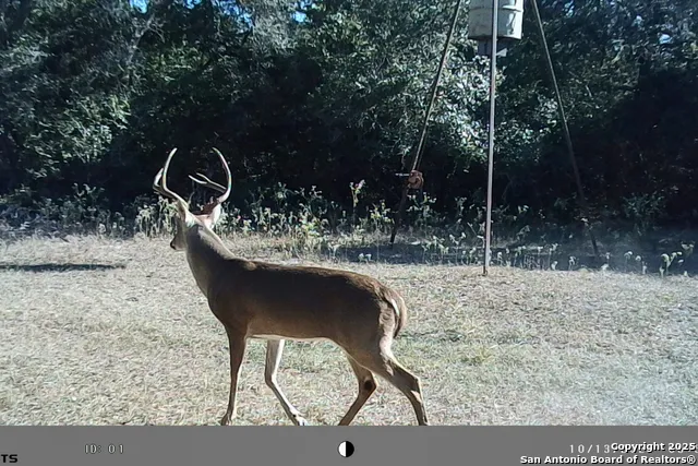 TBD FM 682 Yoakum, TX 77995