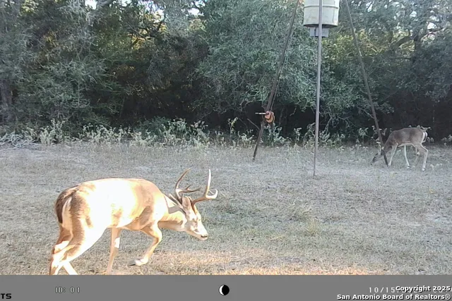 TBD FM 682 Yoakum, TX 77995