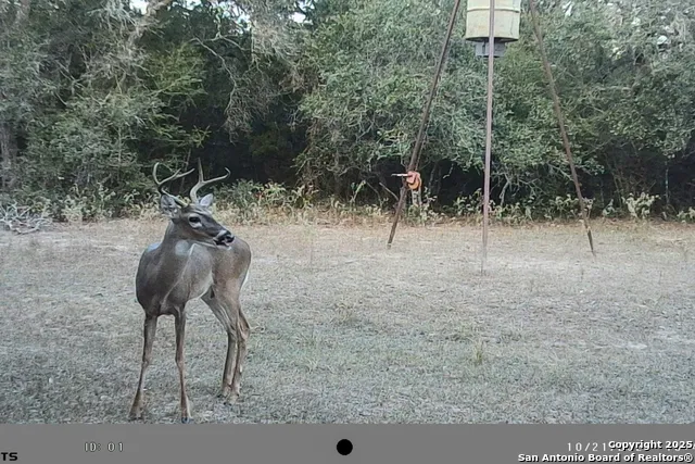 TBD FM 682 Yoakum, TX 77995