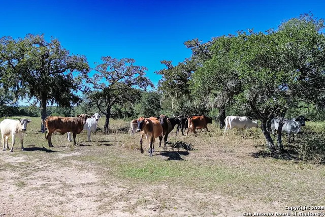 TBD FM 682 Yoakum, TX 77995