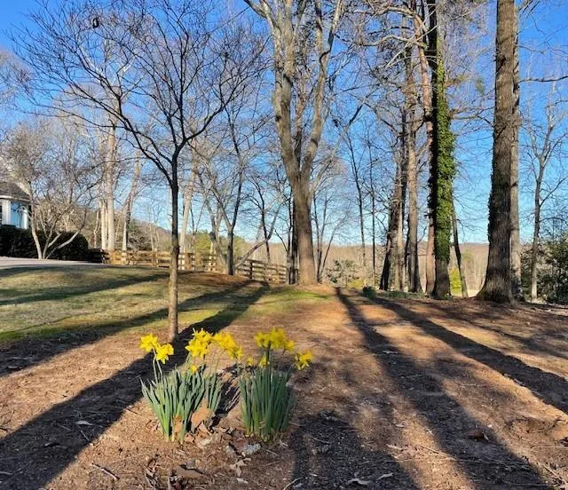 6752 Shoal Creek Road Clermont, GA 30527
