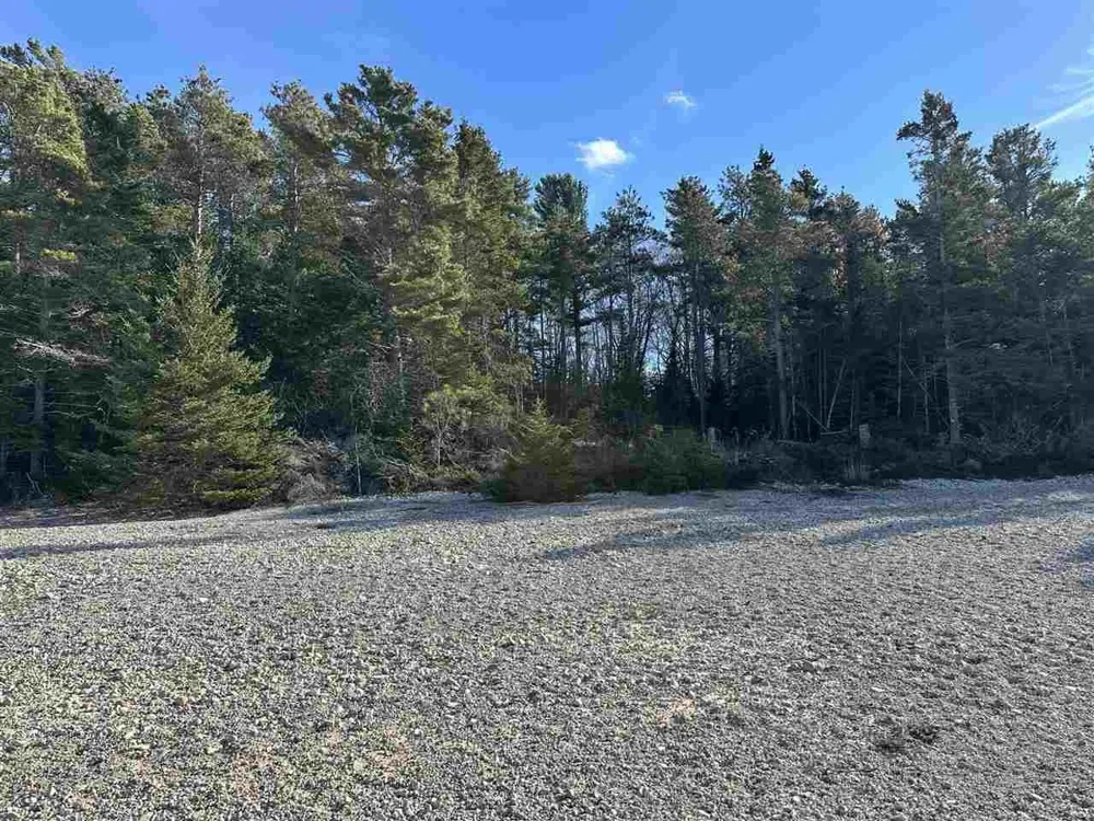 32010 Mrs Reddings Trail Peaine Township, MI 49782