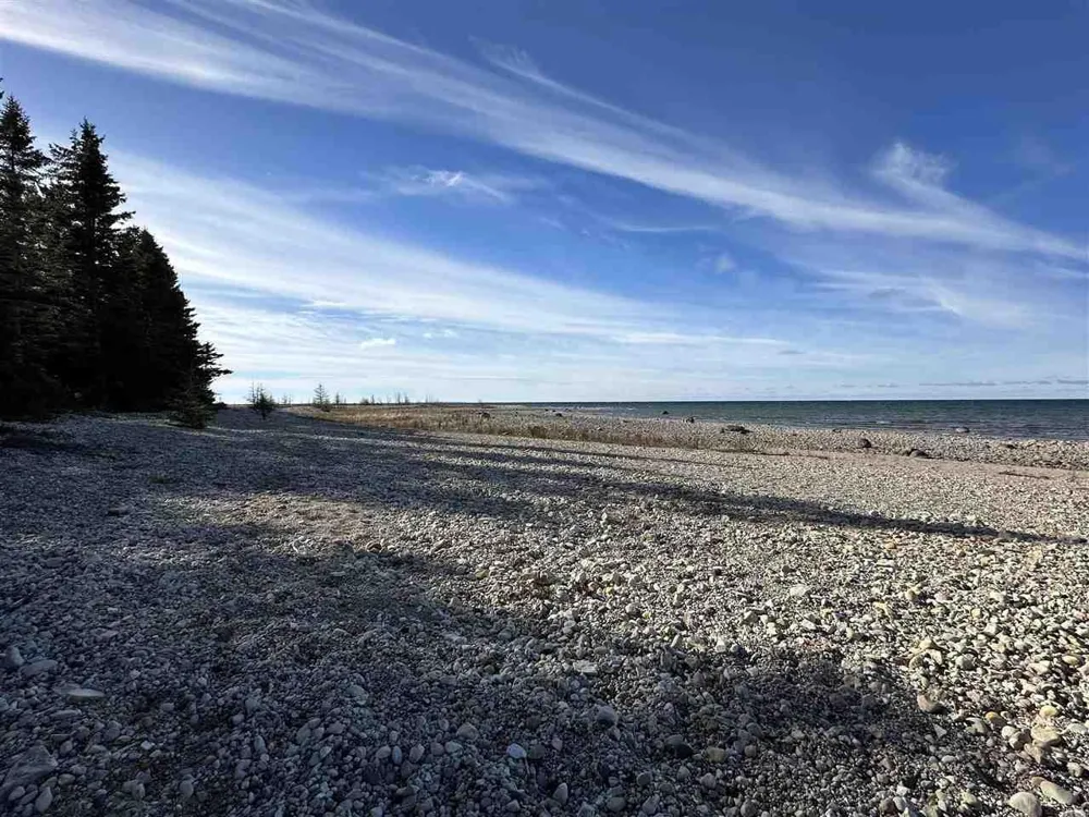 32010 Mrs Reddings Trail Peaine Township, MI 49782