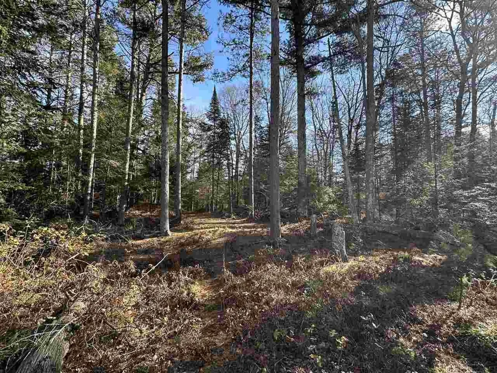 32010 Mrs Reddings Trail Peaine Township, MI 49782