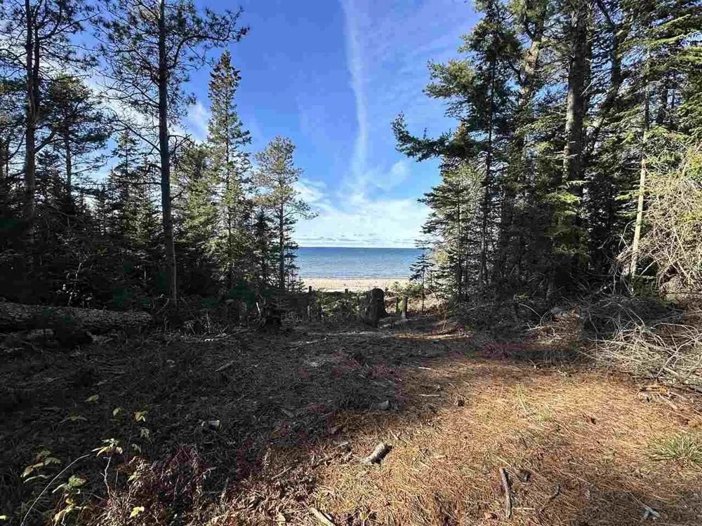 32010 Mrs Reddings Trail Peaine Township, MI 49782