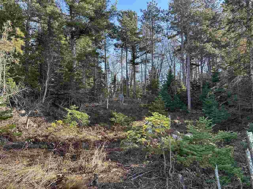 32010 Mrs Reddings Trail Peaine Township, MI 49782