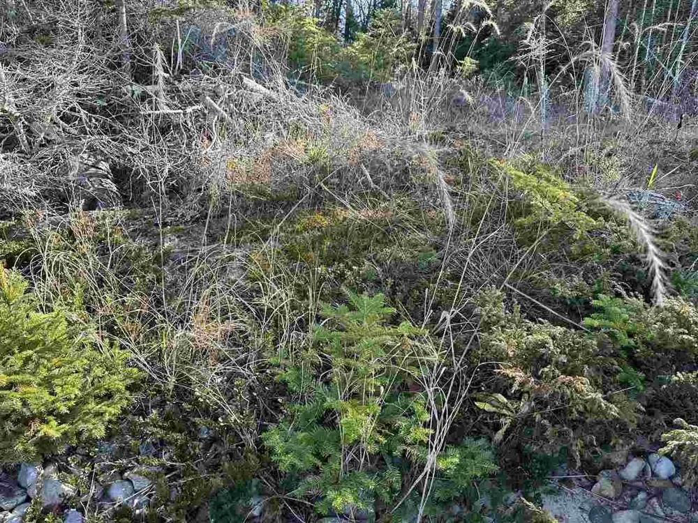 32010 Mrs Reddings Trail Peaine Township, MI 49782