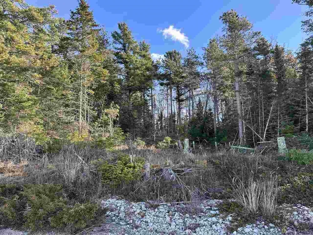 32010 Mrs Reddings Trail Peaine Township, MI 49782