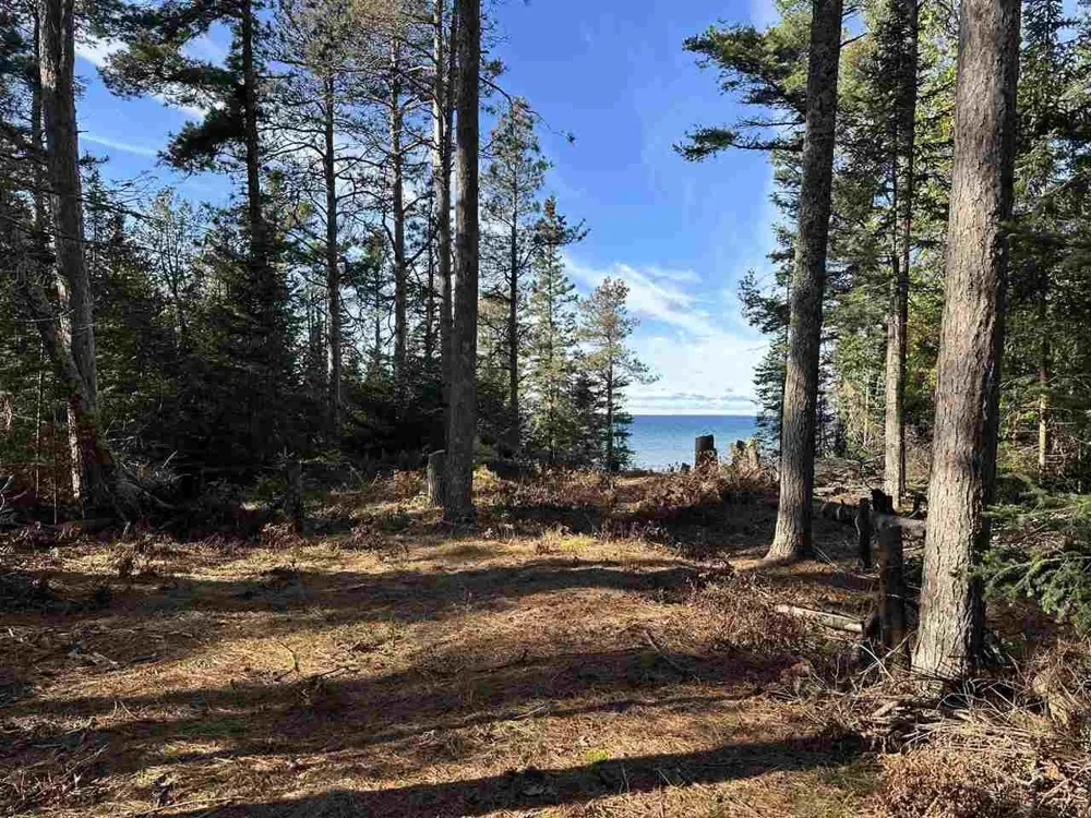 32010 Mrs Reddings Trail Peaine Township, MI 49782