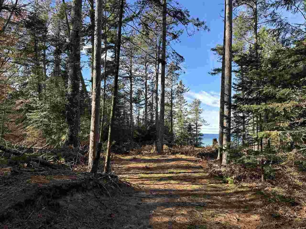 32010 Mrs Reddings Trail Peaine Township, MI 49782
