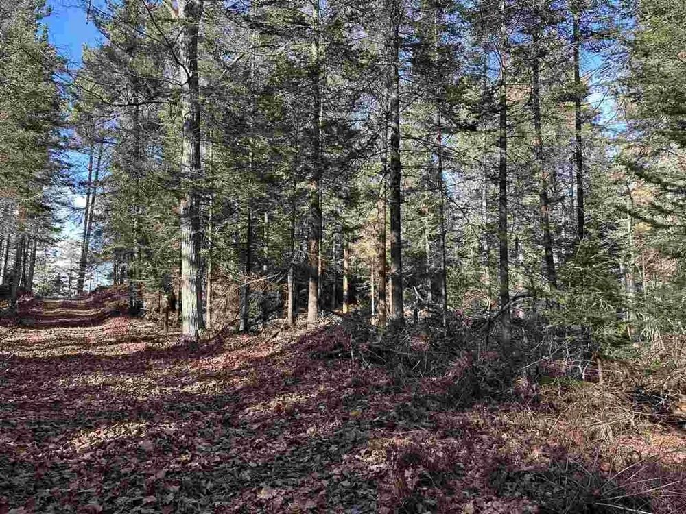 32010 Mrs Reddings Trail Peaine Township, MI 49782